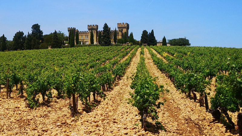 La Vallée du Rhône, un vignoble bicéphale