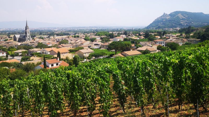 In Vino Very Jazz au Château de Crussol