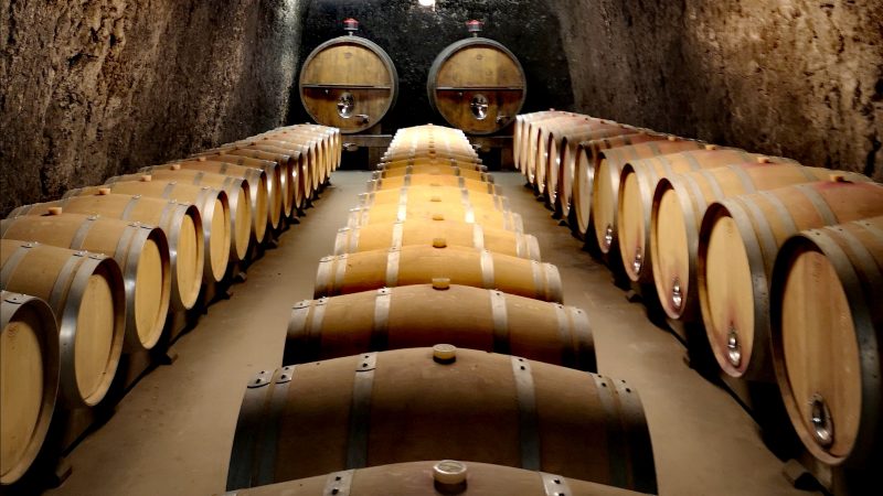 Tout savoir sur… Les vins de l&rsquo;AOC Touraine