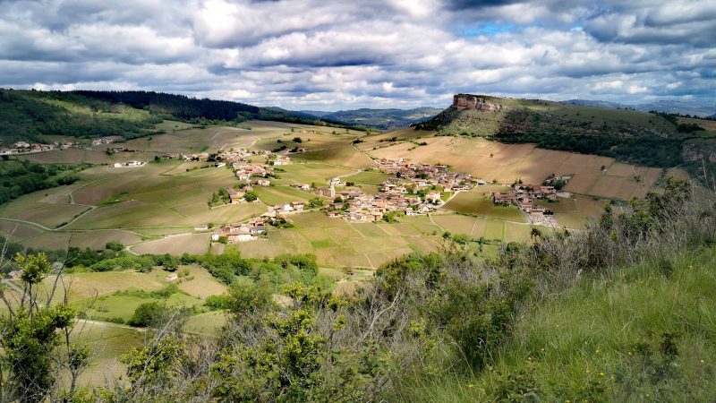 Oenotourisme en Bourgogne : escapade du Nord au Sud